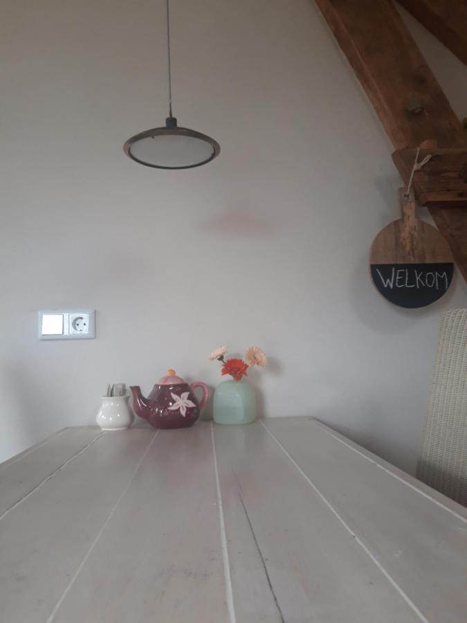 Studio Nok Bij Den Bosch Den Dungen Екстер'єр фото