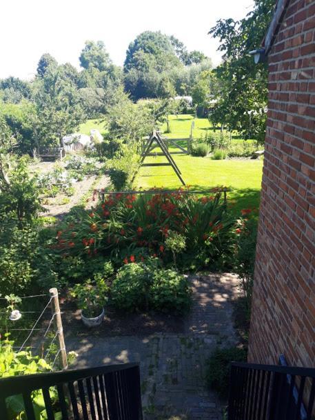 Studio Nok Bij Den Bosch Den Dungen Екстер'єр фото